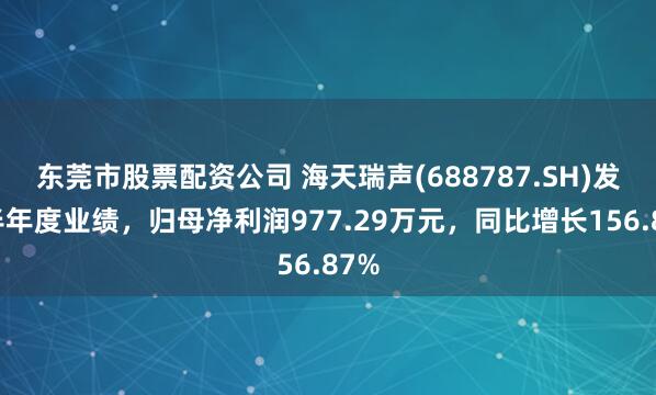 东莞市股票配资公司 海天瑞声(688787.SH)发布半年度业绩，归母净利润977.29万元，同比增长156.87%