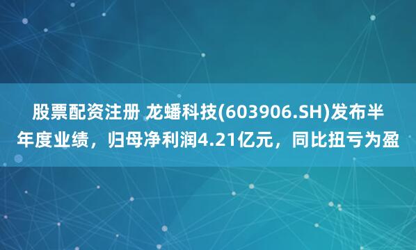 股票配资注册 龙蟠科技(603906.SH)发布半年度业绩，归母净利润4.21亿元，同比扭亏为盈